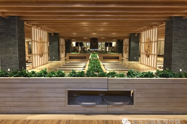 长沙茶友聚会：共享茶香，畅谈人生百态